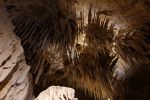 PICTURES/Mitchell Caverns/t_DSC00693.JPG